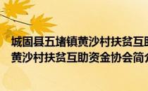 城固县五堵镇黄沙村扶贫互助资金协会（关于城固县五堵镇黄沙村扶贫互助资金协会简介）