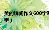 美的瞬间作文600字写景（美的瞬间 作文600字）