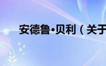 安德鲁·贝利（关于安德鲁·贝利介绍）