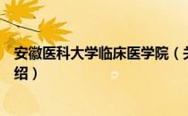 安徽医科大学临床医学院（关于安徽医科大学临床医学院介绍）