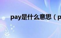 pay是什么意思（payme是什么意思）