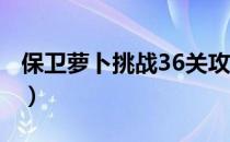 保卫萝卜挑战36关攻略图（保卫萝卜 挑战36）