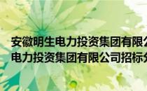 安徽明生电力投资集团有限公司招标分公司（关于安徽明生电力投资集团有限公司招标分公司介绍）