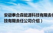 安徽泰合森能源科技有限责任公司（关于安徽泰合森能源科技有限责任公司介绍）