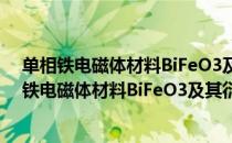 单相铁电磁体材料BiFeO3及其衍生材料的研究（关于单相铁电磁体材料BiFeO3及其衍生材料的研究简介）