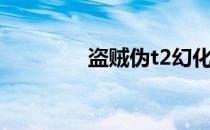 盗贼伪t2幻化（盗贼伪t2）