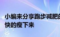 小编来分享跑步减肥的正确方法，让大家能更快的瘦下来