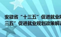 安徽省“十三五”促进就业规划政策解读（关于安徽省“十三五”促进就业规划政策解读介绍）