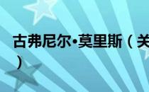 古弗尼尔·莫里斯（关于古弗尼尔·莫里斯介绍）