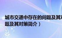 城市交通中存在的问题及其对策（关于城市交通中存在的问题及其对策简介）