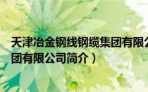 天津冶金钢线钢缆集团有限公司（关于天津冶金钢线钢缆集团有限公司简介）