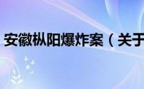 安徽枞阳爆炸案（关于安徽枞阳爆炸案介绍）