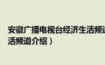 安徽广播电视台经济生活频道（关于安徽广播电视台经济生活频道介绍）