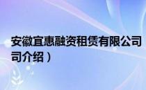 安徽宜惠融资租赁有限公司（关于安徽宜惠融资租赁有限公司介绍）