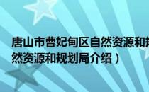 唐山市曹妃甸区自然资源和规划局（关于唐山市曹妃甸区自然资源和规划局介绍）