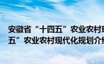 安徽省“十四五”农业农村现代化规划（关于安徽省“十四五”农业农村现代化规划介绍）