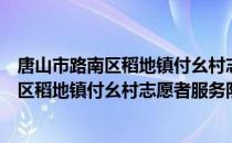 唐山市路南区稻地镇付幺村志愿者服务队（关于唐山市路南区稻地镇付幺村志愿者服务队介绍）