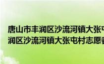 唐山市丰润区沙流河镇大张屯村志愿者小队（关于唐山市丰润区沙流河镇大张屯村志愿者小队介绍）