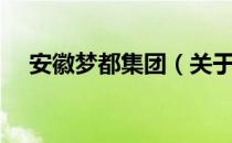 安徽梦都集团（关于安徽梦都集团介绍）