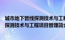 城市地下管线探测技术与工程项目管理（关于城市地下管线探测技术与工程项目管理简介）