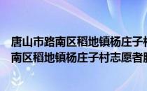 唐山市路南区稻地镇杨庄子村志愿者服务队（关于唐山市路南区稻地镇杨庄子村志愿者服务队介绍）