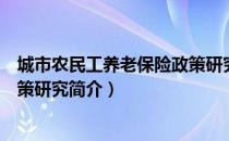 城市农民工养老保险政策研究（关于城市农民工养老保险政策研究简介）