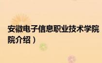 安徽电子信息职业技术学院（关于安徽电子信息职业技术学院介绍）