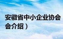 安徽省中小企业协会（关于安徽省中小企业协会介绍）