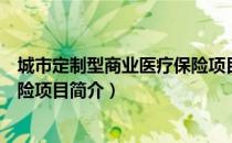 城市定制型商业医疗保险项目（关于城市定制型商业医疗保险项目简介）