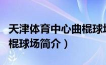 天津体育中心曲棍球场（关于天津体育中心曲棍球场简介）