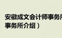 安徽成文会计师事务所（关于安徽成文会计师事务所介绍）