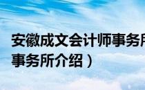 安徽成文会计师事务所（关于安徽成文会计师事务所介绍）