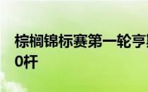 棕榈锦标赛第一轮亨斯比因为打错球被罚了10杆