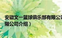 安徽文一篮球俱乐部有限公司（关于安徽文一篮球俱乐部有限公司介绍）