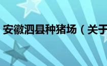 安徽泗县种猪场（关于安徽泗县种猪场介绍）