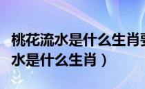 桃花流水是什么生肖要最准确的答案（桃花流水是什么生肖）