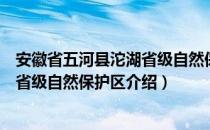 安徽省五河县沱湖省级自然保护区（关于安徽省五河县沱湖省级自然保护区介绍）