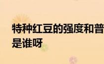 特种红豆的强度和普适性如何从上到下替代 是谁呀 