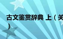 古文鉴赏辞典 上（关于古文鉴赏辞典 上介绍）