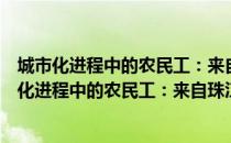 城市化进程中的农民工：来自珠江三角洲的研究（关于城市化进程中的农民工：来自珠江三角洲的研究简介）