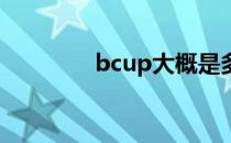 bcup大概是多大（b cup）