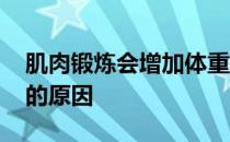 肌肉锻炼会增加体重吗 肌肉运动中控制体脂的原因