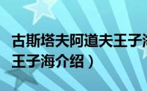 古斯塔夫阿道夫王子海（关于古斯塔夫阿道夫王子海介绍）