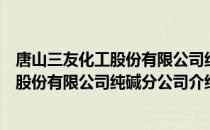 唐山三友化工股份有限公司纯碱分公司（关于唐山三友化工股份有限公司纯碱分公司介绍）