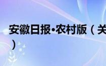 安徽日报·农村版（关于安徽日报·农村版介绍）