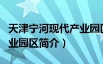 天津宁河现代产业园区（关于天津宁河现代产业园区简介）