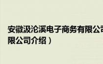 安徽汲沦溪电子商务有限公司（关于安徽汲沦溪电子商务有限公司介绍）