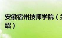 安徽宿州技师学院（关于安徽宿州技师学院介绍）