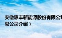 安徽惠丰新能源股份有限公司（关于安徽惠丰新能源股份有限公司介绍）