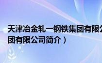 天津冶金轧一钢铁集团有限公司（关于天津冶金轧一钢铁集团有限公司简介）